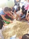 HÀNH ĐỘNG NHỎ - Ý NGHĨA LỚN